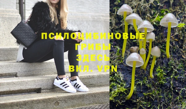 mdpv Бугульма