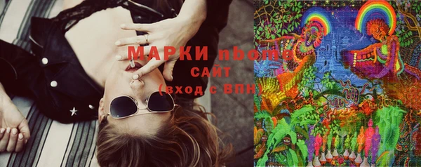 спайс Бородино