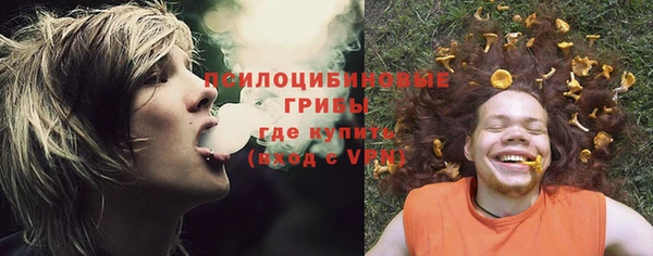 дурь Бутурлиновка
