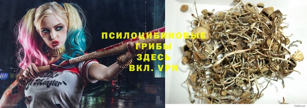 мдпв Богданович