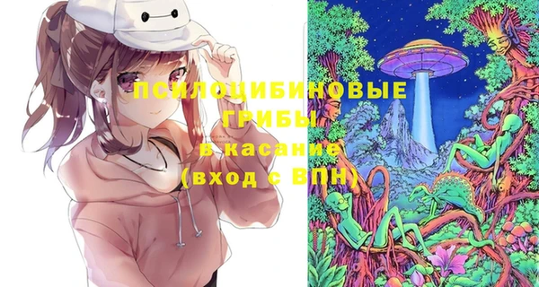 спайс Бородино