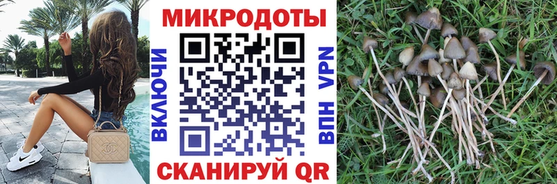 Галлюциногенные грибы мухоморы  гидра ONION  Горнозаводск 